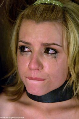 Picture tagged with: American, Blonde, Lexi Belle, Whipped Ass, Bondage
