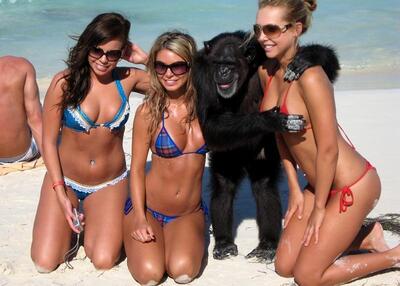 Picture tagged with: Blonde, Brunette, 3 girls, Beach, Bikini, Funny, Piercing, Smiling