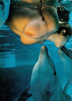 Picture tagged with: Busty, Kissing, Boobs, Dolphin, Under water