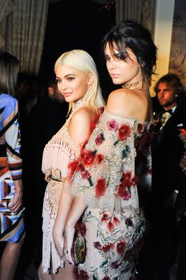 Kendall Jenner, Brunette, American, Celebrity - Star, Safe for work