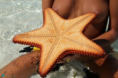 Picture tagged with: Skinny, Bikini Life Trip to Iguana Island, Blonde, Katya Clover - Mango A, katya-clover.com, Nature, Russian, Sexy Wallpaper, Small Tits