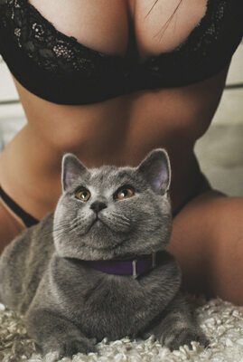 Picture tagged with: Skinny, Brunette, Galina Dubenenko, Cat, Cute, Lingerie, Russian